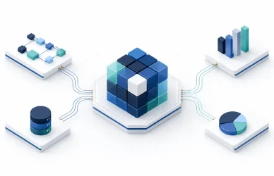 ERP implementation finance infographic connecting processes, data, controls and management reporting